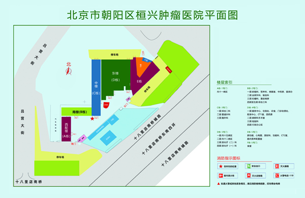 免费看操b网站北京市朝阳区桓兴肿瘤医院平面图